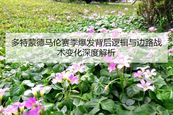 img_1780687849307_8_1_874.jpg